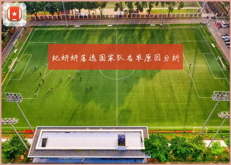 纪妍妍落选国家队名单原因分析